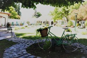 a green bike parked on a rock path at Chenin Lodge in Ciudad Lujan de Cuyo