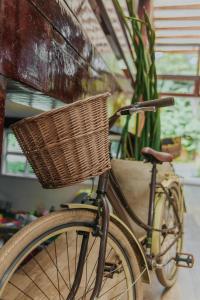 a bike with a basket parked next to a plant at Pousada Camburizinho in Camburi