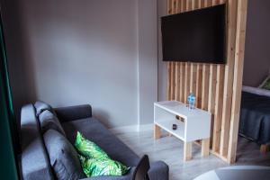 TV a/nebo společenská místnost v ubytování Apartamenty Długa 6