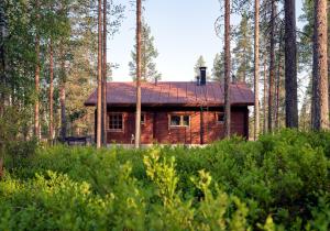 a wooden cabin in the middle of a forest at Viihtyisä lomamökki Levillä in Sirkka