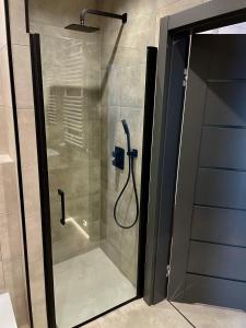 y baño con ducha y puerta de cristal. en Apartment 2-Rooms-Garage-TV-Wifi en Poznan