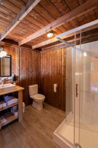 a bathroom with a toilet and a glass shower at Ferienpark Terrassencamping Süd-See in Walchsee