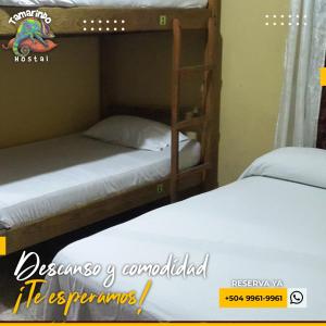 Postelja oz. postelje v sobi nastanitve Tamarindo Hostel