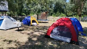 un grupo de tres tiendas de campaña en un campo en EXIT Camping with bungalow, mobile home, tents, and empty spots with private acces to the beach en Novi Sad