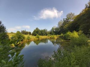 Blick auf einen Teich auf einem Feld mit Bäumen in der Unterkunft Château la bastide cardan in Saint-Sulpice-de-Pommiers