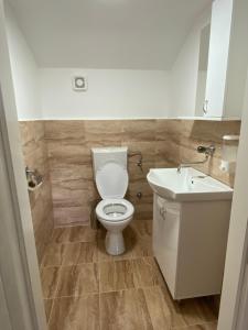 a bathroom with a toilet and a sink at Hostel MAGIJA in Bajina Bašta