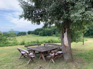 a wooden table and benches next to a tree at Talin Raj in Arandjelovac