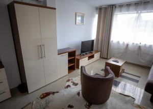 salon z krzesłem i telewizorem w obiekcie Guest House Agropapuk w mieście Šid