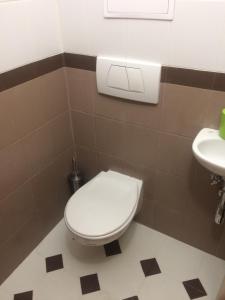 La salle de bains est pourvue de toilettes et d'un lavabo. dans l'établissement Apartment Safran, à Donovaly