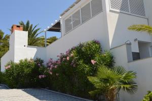 Zahrada ubytování Villa Mare