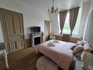 Un dormitorio con una cama grande y una chimenea. en Maison d'hôtes Au Cœur des Lacs, en Lusigny-sur-Barse