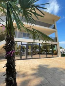 Gallery image of Hotel Olt by Ventura in Mamaia +27 photos