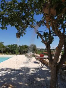 a beach with chairs and a tree next to a pool at Tenuta Colavecchio B&B in Putignano
