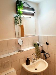 a bathroom with a sink and a mirror at Design-Apartment für 4 mit Küche Nahe der City in Hannover
