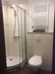 uma casa de banho com um chuveiro, um WC e um chuveiro em Zum weißen Ross em Nidda