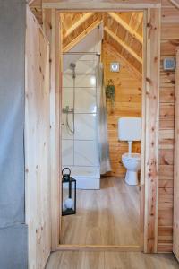 a bathroom with a shower and a toilet at GLAMPING IZLETIŠTE BANOVAC in Gornje Komarevo