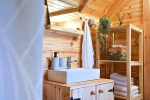 a bathroom with a sink in a tiny house at GLAMPING IZLETIŠTE BANOVAC in Gornje Komarevo