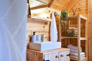 Gornje KomarevoGLAMPING IZLETIŠTE BANOVAC的一个小房子里带水槽的浴室