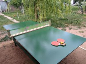 a green ping pong table with a pair of scissors on it at eco house summer garden in Kaji-Say