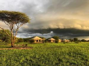 eine Gruppe von Lodges in einem Feld unter einem wolkigen Himmel in der Unterkunft Serengeti Sound of Silence in Serengeti-Nationalpark