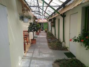 Vonkajšia záhrada v ubytovaní Rastlinky.sk Greenhouse Guestrooms