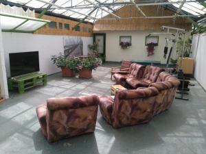 two leather couches in a living room with a tv at Rastlinky.sk Greenhouse Guestrooms in Bratislava