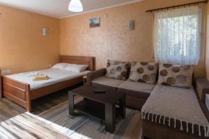 a small room with a bed and a couch at Zavicaj Zaovine2 in Zaovine