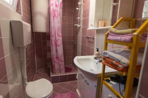 a bathroom with a sink and a toilet and a shower at Zavicaj Zaovine2 in Zaovine