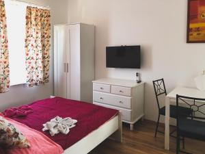 TV a/nebo společenská místnost v ubytování Diána Apartman Bogács