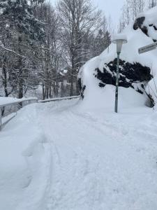 een weg bedekt met sneeuw naast een straatlicht bij Harzer Roller 1+2 in Braunlage