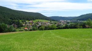 Gallery image of Ferienhaus Schmuckkästle in Baiersbronn