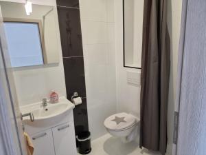 a small bathroom with a toilet and a sink at Pension Fürstenzell in Fürstenzell