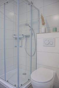 a bathroom with a shower and a toilet at Suite Barrique Zell in Zell an der Mosel