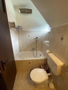 Koupelna v ubytování Apartments and Rooms Ražen + 24 fotografií