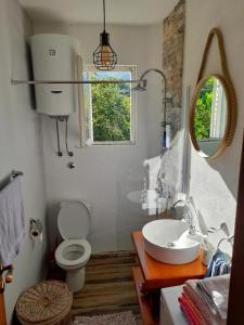baño con aseo y lavabo y ventana en Banjo Rustic House Lake view en Virpazar