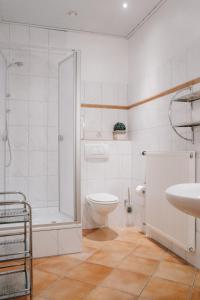 a bathroom with a shower and a toilet and a sink at Ferienhof Werner in Emstek