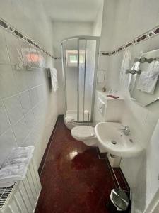 ein Bad mit einer Dusche, einem WC und einem Waschbecken in der Unterkunft Ferienwohnung NEUMANN a.d. Porzellan-Manufaktur in Meißen