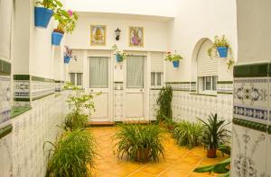 صورة لـ Hostal Patio Andaluz في بونتا أومبريا