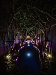 Une rangée d'arbres allumés la nuit avec des lumières violettes dans l'établissement NORN Nimman13 Boutique Hotel Chiang Mai, à Chiang Mai