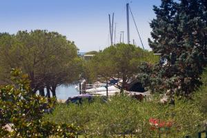 a group of boats docked in a harbor with trees at Premium Marina Apartments with Sea View by Locap Group in Portorož