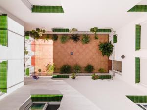 um quarto grande com plantas na parede em Hostal Patio Andaluz em Punta Umbría