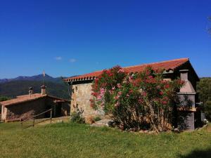 una casa con un arbusto de flores delante de ella en Can Camós Natura, en Porqueres