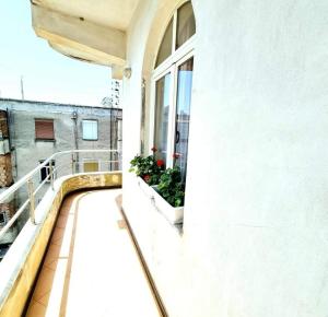 Galeri foto Luckyshine hostel di Vlore