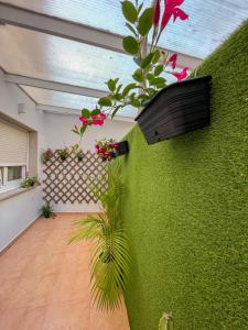 una habitación con una pared verde con plantas. en PENSIÓN AUGAS QUENTES, en Caldas de Reis