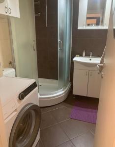 Koupelna v ubytování Apartman ANN