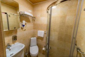 a bathroom with a toilet and a sink and a shower at Murmansk Discovery - Hotel Smart in Murmansk