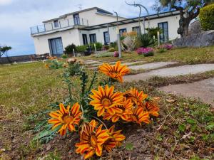 a bunch of orange flowers in front of a house at STONE GARDEN B&B Ercolano in Ercolano