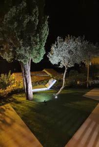 two trees in a yard at night at Villa Gloria in Cavtat