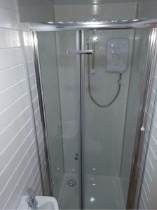 una ducha con una puerta de cristal junto a un lavabo en Green Bridge Inn, en Pendine