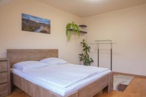 Fotografia z galérie ubytovania Pécs City Center Apartman v destinácii Pécs